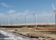 Northeast of Brazil generates record wind energy production